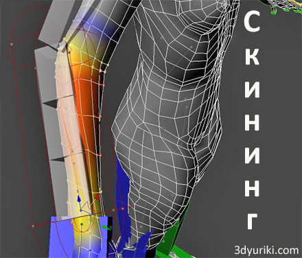 Скининг - процесс привязывания костей к 3d-модели