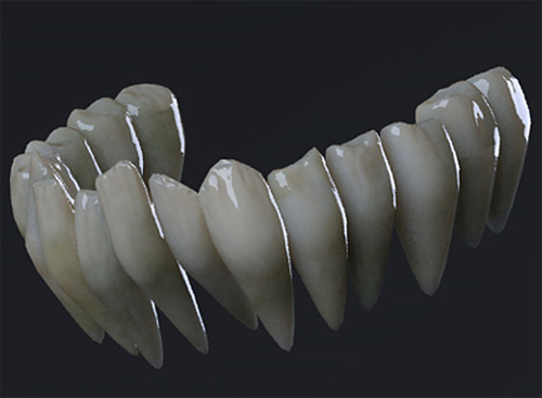 Рендер 3D-зубов человека